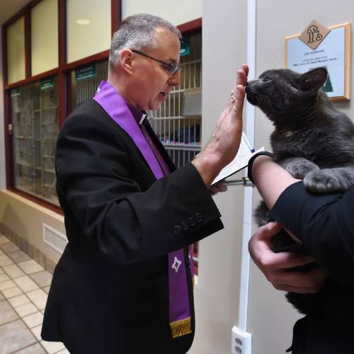 Animals is a long tradition that goes back to St. Francis of Assisi the Catholic patron saint of animals who died in the 13th century. Father Ian Carman a priest from the Saint Bonaventure Liberal Catholic Church Mission was