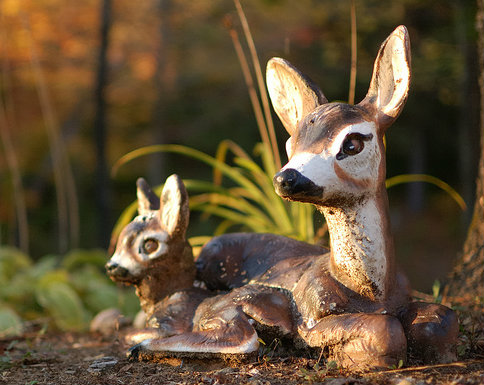 No, the Wisconsin DNR is not asking anyone to remove fake deer from their lawns