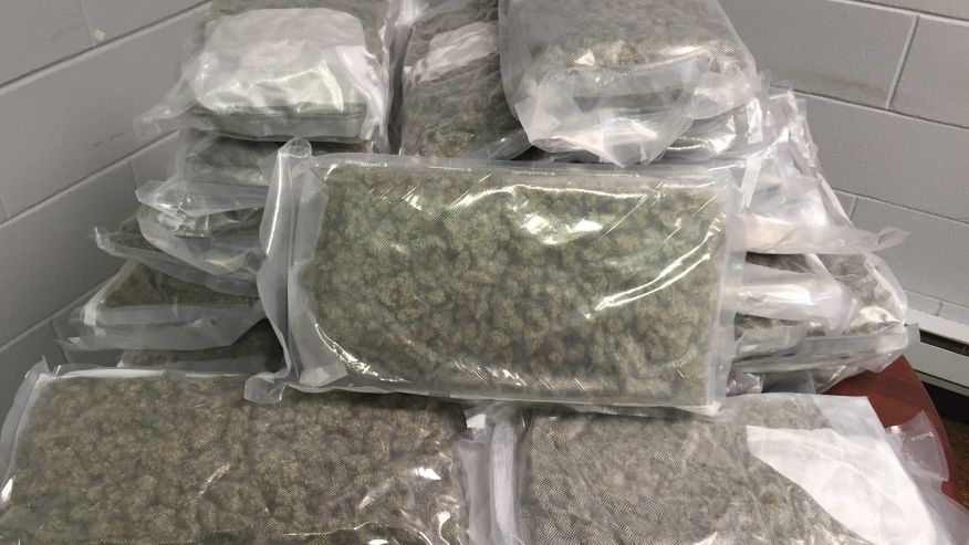 Police are offering the person who sent 50 pounds of marijuana to the wrong address to claim