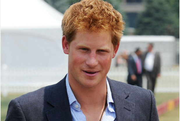 Prince Harry       	      	     VIEW