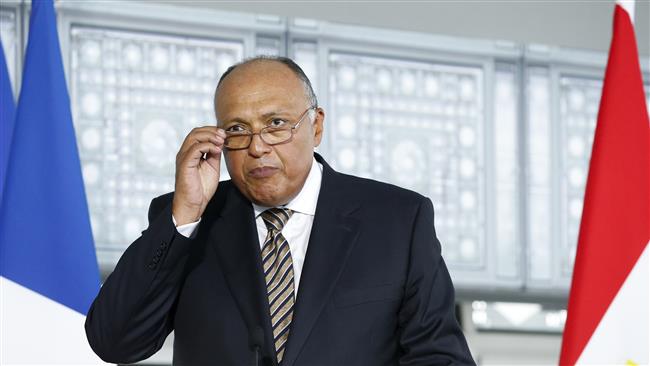 Egyptian Foreign Minister Sameh Shoukry