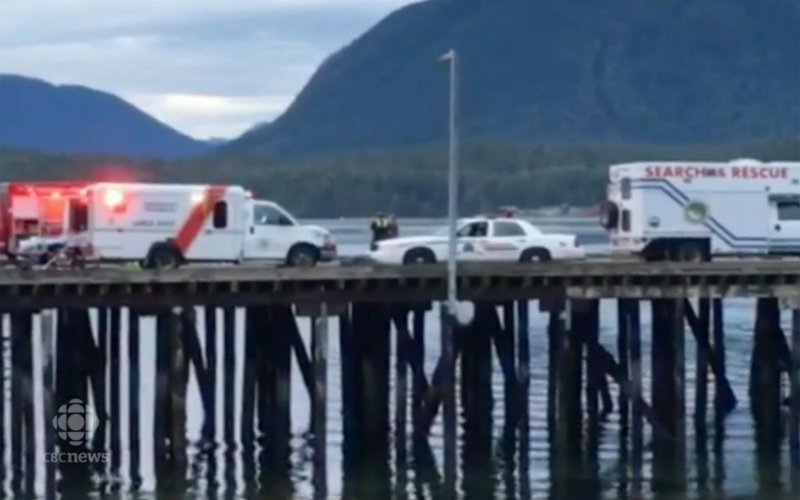 Dead in Whale Watching Accidentvia CBC