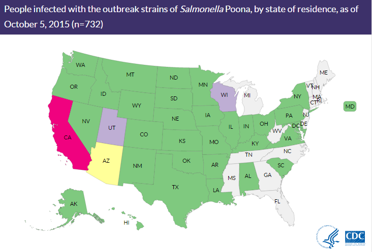 Fourth death confirmed in cucumber salmonella outbreak