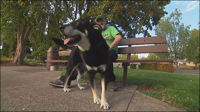 Service dog reunited with victim's fiance after fatal Ore. shooting