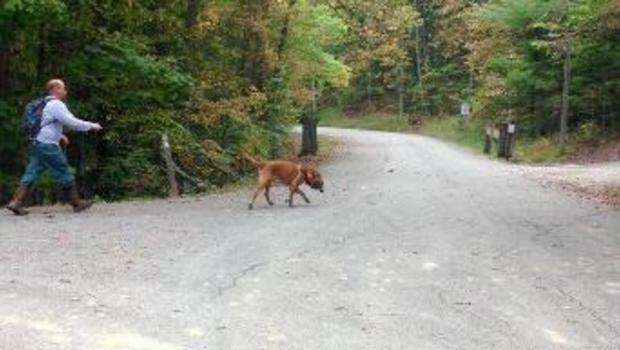 Search teams look for two boys lost in the Kentucky wilderness.         
                                     CBS