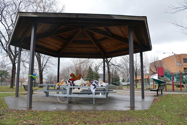 A police officer fatally shot Tamir Rice in the park outside Cudell recreation center in Cleveland