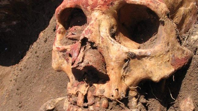 Scientists have found early strains of the Black Death bacterium Yersinia pestis on Bronze Age skulls from Central Asia