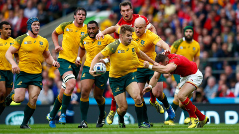 The Wallabies have announced themselves as a team to be feared over the past fortnight