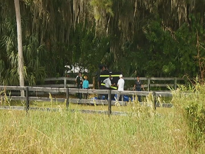 The incident occurred sometime overnight at a stable along Moccasin Wallow Road in Palmetto