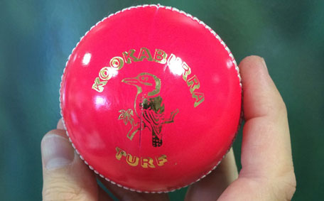 The pink cricket ball that will be used for da-night tests