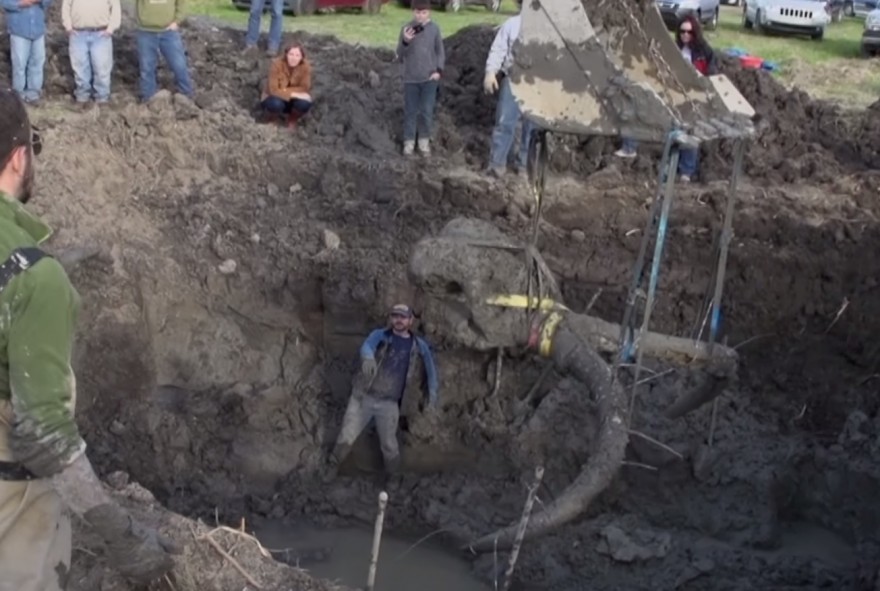 This massive mammoth skull was removed from a farm in Michigan