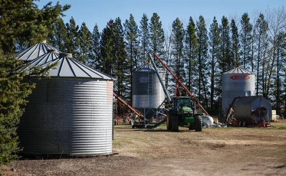 Three Alberta sisters die after being buried in canola seed