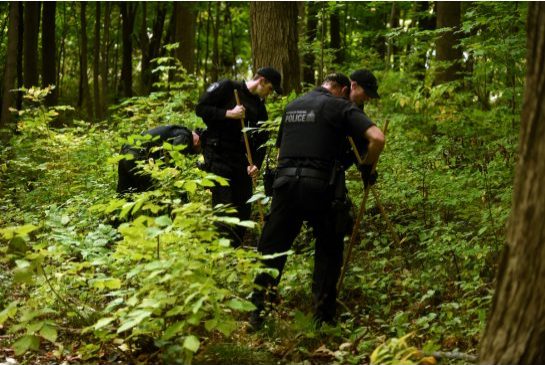 Police investigate the woods close to where Michael Gibbon was shot with an arrow