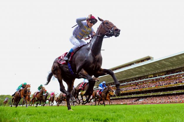 Thierry Jarnet riding Treve crosses the finish line to win the Qatar Prix de l'Arc de Triomphe horse race at the Longchamp race track outside Paris. Already a superstar in racing circles Treve is gaining new fans