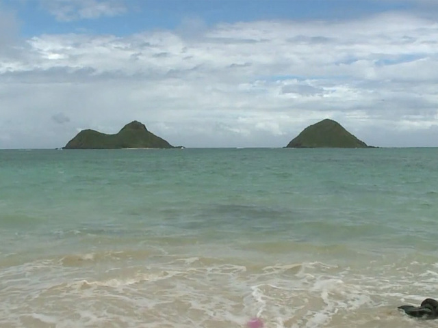 Two reported shark attacks on the same day in Hawaii                       KHON