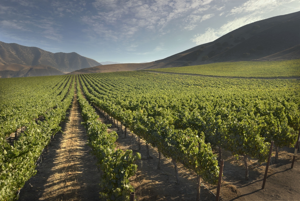 California Coast winery Hahn Family Wines has been using Verizon's network to monitor moisture at its vineyards to allow for more efficient irrigation