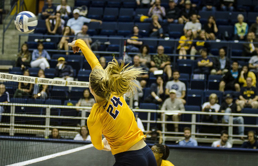 Cal volleyball faces No. 25 Oregon Oregon State
Kevin Cheung  Staff
By Alex Quintana | Staff Last Updated 1 min Ago