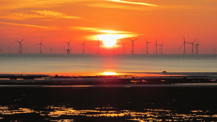 Walney Wind farm at sunset. Taken by Janet Ellen Smith