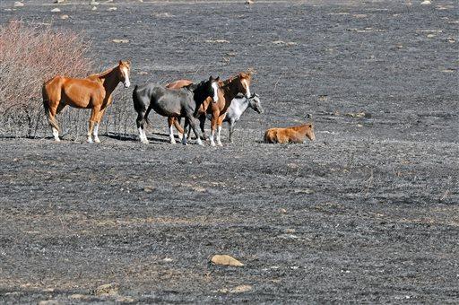 Wyoming wildfire forces evacuations of more than 500 homes