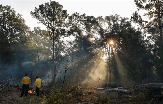 Hundreds evacuated as wildfire spreads in central Texas