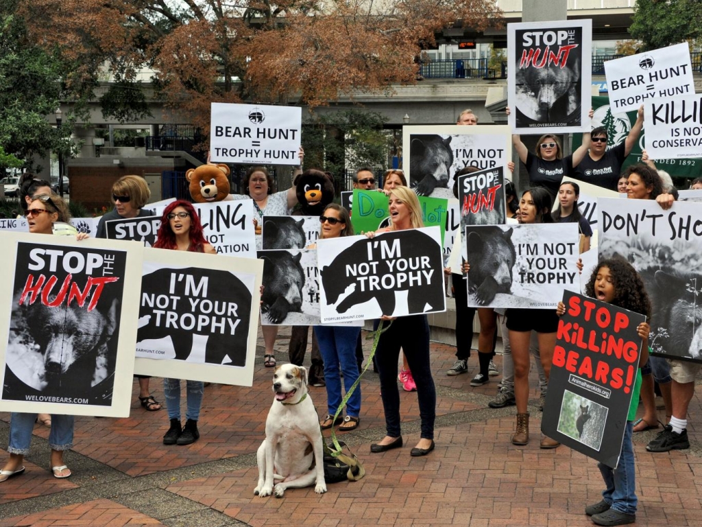 Stop the Florida Bear Hunt campaigners stage a protest in Jacksonville ahead of the state’s first hunt since 1994