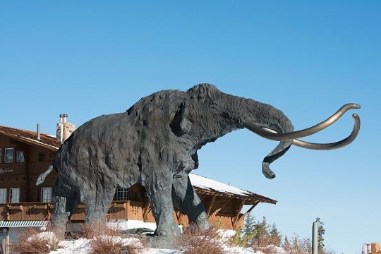 Reports: Woolly Mammoth Found South Of Chelsea, Michigan [PHOTOS]