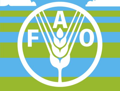 FAO: Social protection can help farmers out of poverty