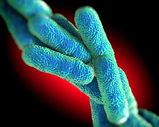 New Cluster of Legionnaires' Found in New York City