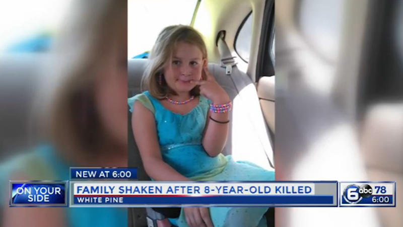 Eleven-Year-Old Boy Accused of Murdering Little Girl Who Wouldn't Let Him Play With Her Puppy