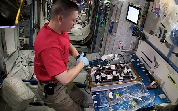 A ISS crew member observes a minute silence for Paris attack victims