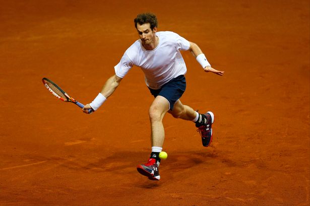 Great Britain's Andy Murray during a training session at the Flanders Expo Centre Ghent