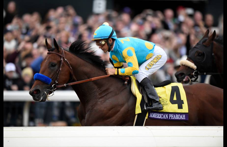 American Pharoah nominated for Sports Illustrated Sportsman of the Year