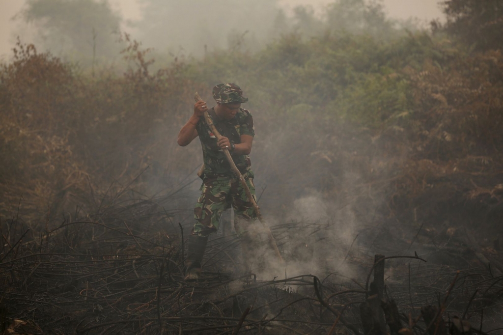 The human and environmental cost of Indonesia’s haze fires