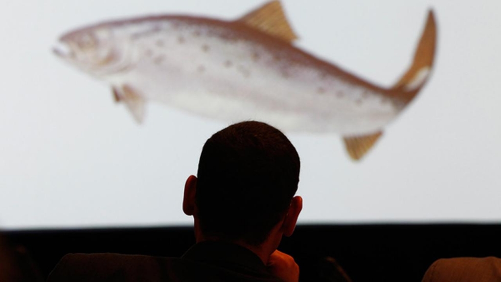 FILE Members of the Veterinary Medicine Advisory Committee listen during a presentation at Food and Drug Administration advisory committee hearing on modified salmon