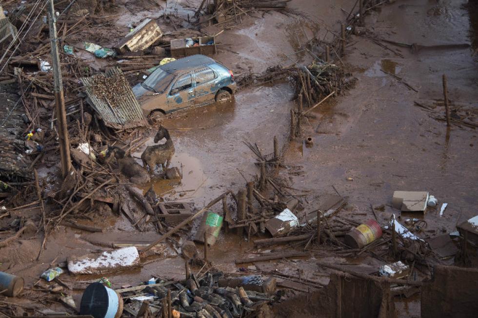 Associated Press Horses struggle in the mud Friday at the small town of Bento Rodrigues after a dam burst in Minas Gerais state Brazil. Brazilian rescuers searched feverishly Friday for possible survivors after two dams burst at an iron ore mine in