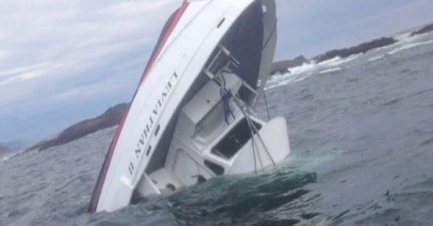 Body found near site of Tofino whale-watching accident: BC Coroners Service