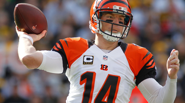 PITTSBURGH PA- NOVEMBER 01 Andy Dalton #14 of the Cincinnati Bengals looks to make a pass during the 1st quarter of the game against the Pittsburgh Steelers at Heinz Field