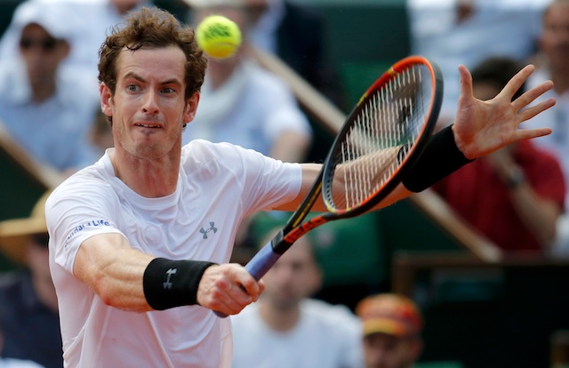 Britain's hopes in the Davis Cup final will rest on Andy Murray