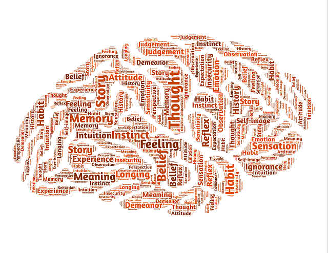 Humans can outlearn chimps thanks to more flexible brain genetics