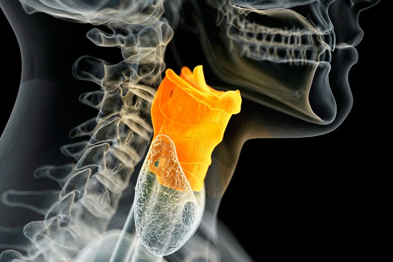 Human vocal cords built from scratch in world first