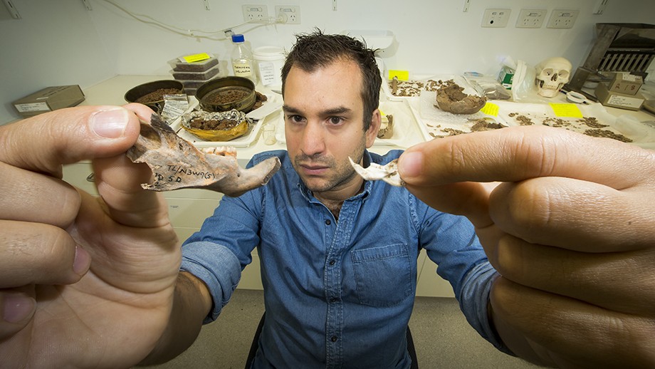 Julien Louys holds the jaw bone of a giant rat species discocvered on East Timor up against a comparison with the same bone of a modern rat