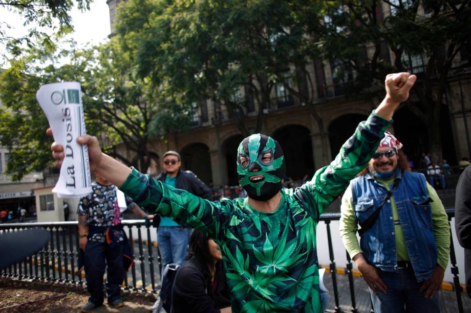 Mexico’s Supreme Court has ruled in favor for the right to cannabis