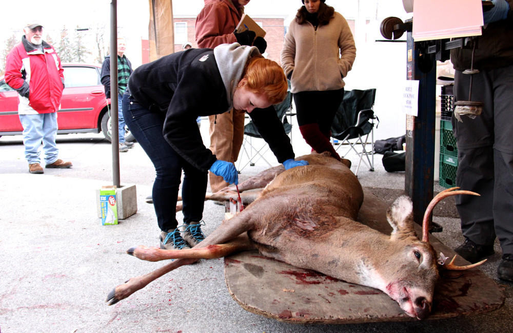 Biologist will be collecting deer teeth at some biological reporting stations this weekend but they're asking hunters to send teeth of their deer for study. In this 2013