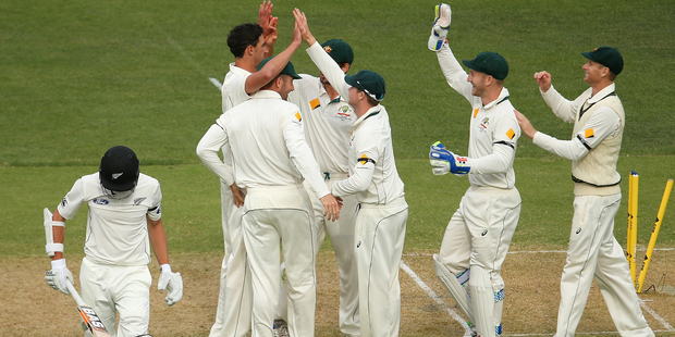 Mitchell Starc of Australia is congratulated by team mates after taking the wicket of Mitchell Santner