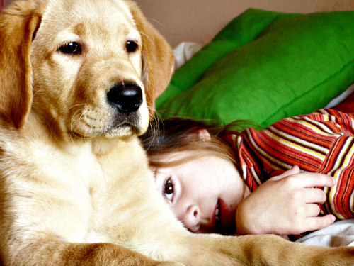 New Study Shows Kids With Pet Dogs Are Less Anxious Kids & dogs