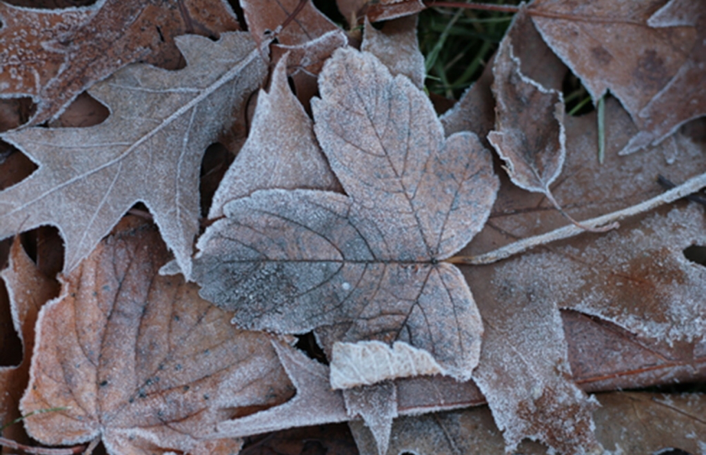 Cold, snow in Milwaukee area to give way to warmup, rain