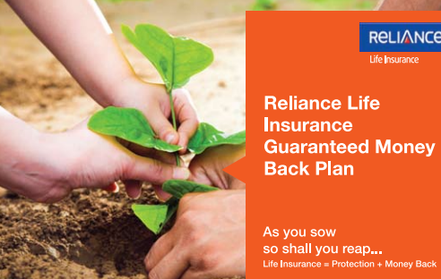 Nippon increases 23% stake in Reliance Life Insurance for Rs 22.65 bn