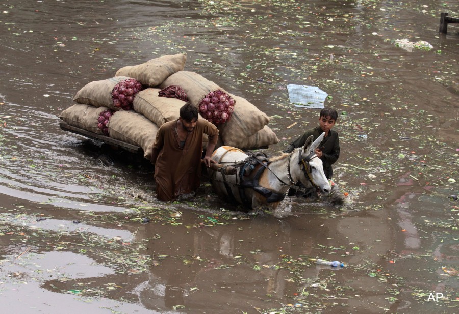 Pakistan suffered the consequences of heavy raining last July as 838 died from the floodings