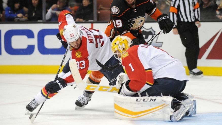 Anaheim CA USA Florida Panthers defenseman Willie Mitchell helps goalie Roberto Luongo defend the goal against Anaheim Ducks right wing Chris Stewart during the second period at Honda Center. Mandatory Credit Gary A. Va