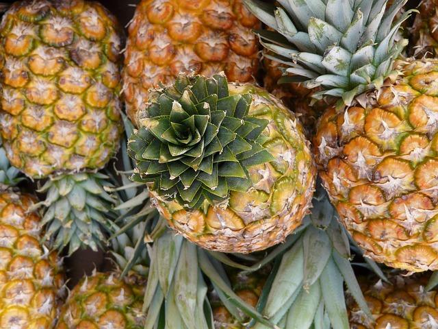 Pineapple genome sequence can help develop new crops resistant to climate change